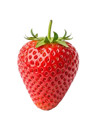 Imagen PNG para descargar